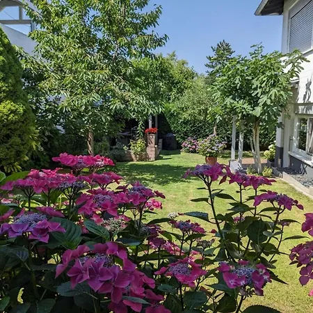 Apartmán 